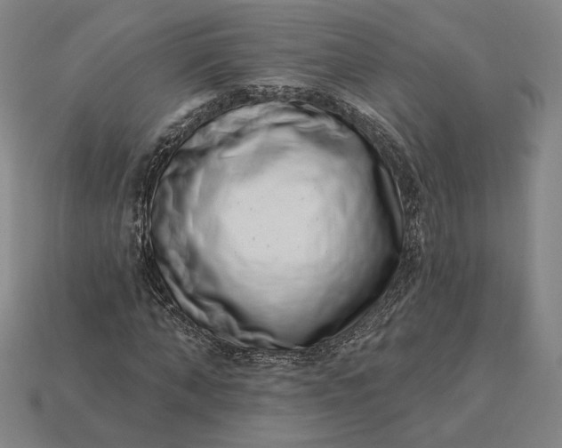 X0000115230870200911131641
