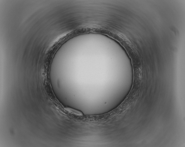 X0000115230872200911131641