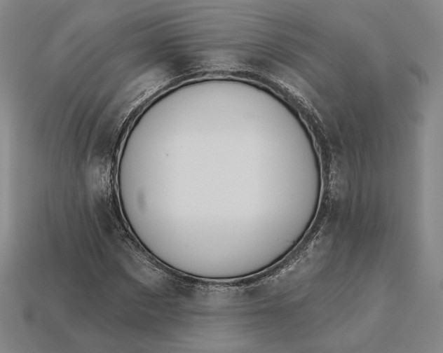 X0000115230873200911131641