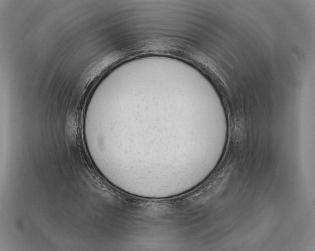 X0000115230874200911131641