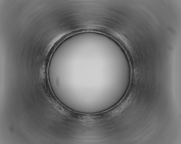 X0000115230875200911131641