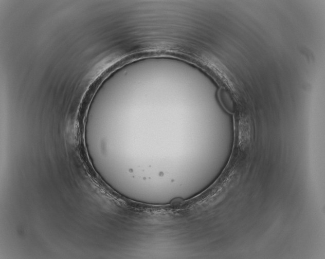 X0000115230876200911131641