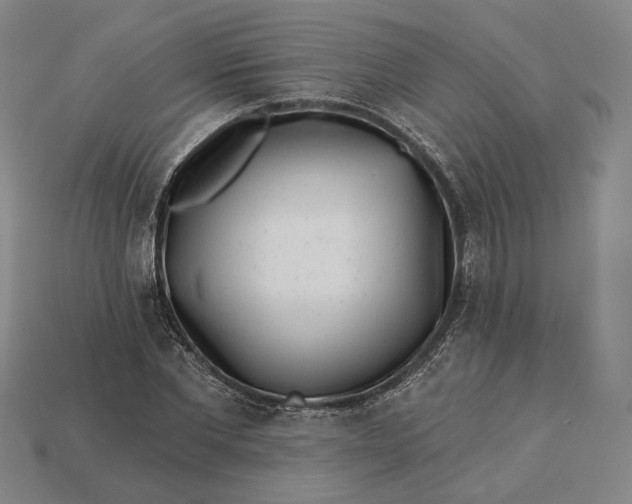X0000115230877200911131641