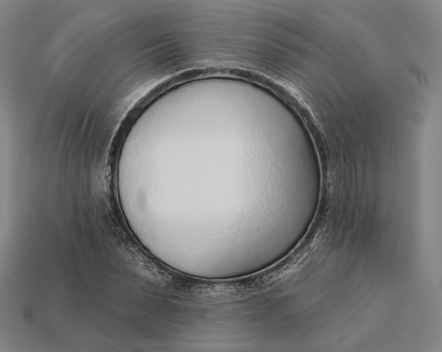 X0000115230879200911131641