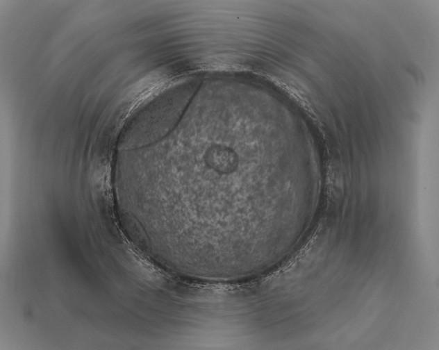 X0000115230881200911131641