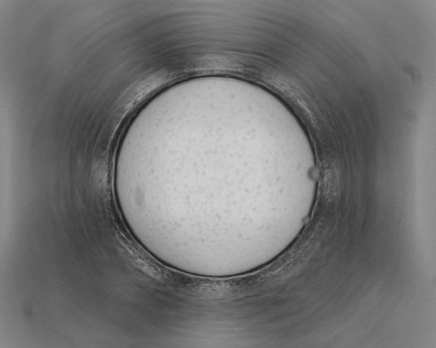 X0000115230882200911131641