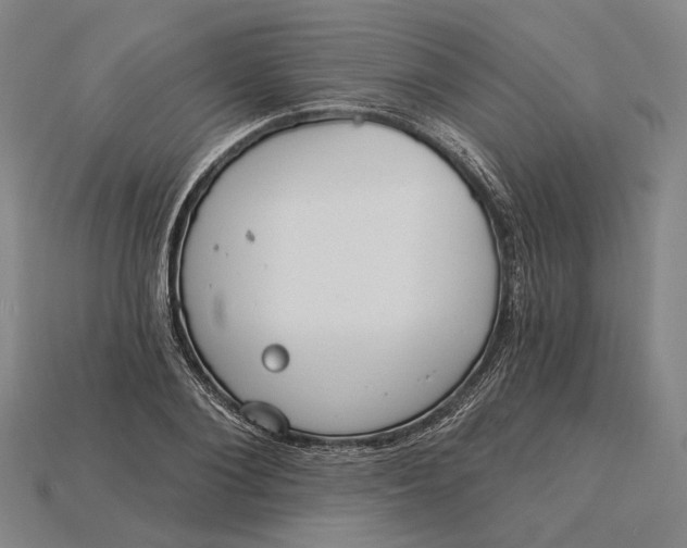 X0000115230884200911131641