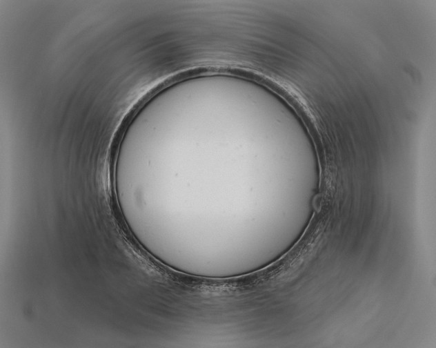 X0000115230887200911131641
