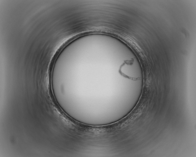 X0000115230888200911131641