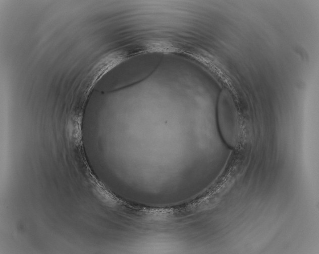 X0000115230889200911131641