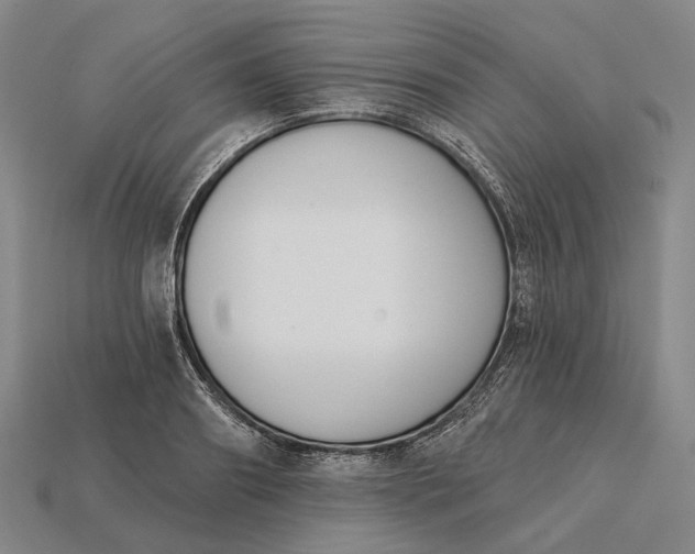 X0000115230890200911131641