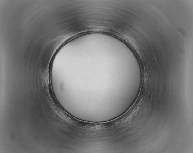 X0000115230891200911131641