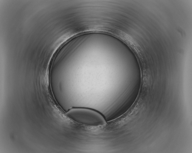 X0000115230892200911131641