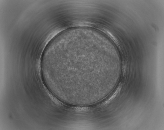 X0000115230893200911131641
