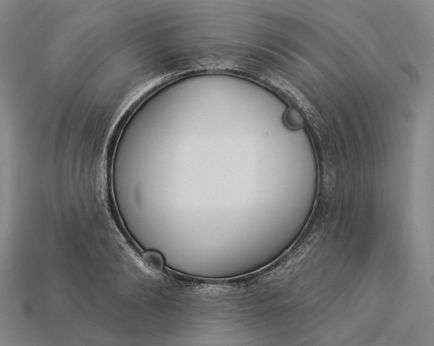 X0000115230894200911131641