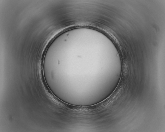 X0000115230895200911131641