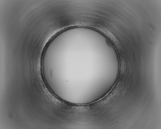 X0000115230896200911131641