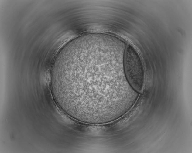 X0000115230897200911131641