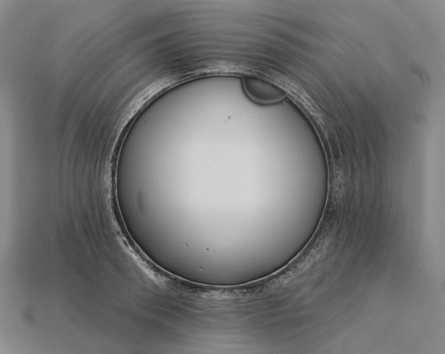 X0000115230898200911131641