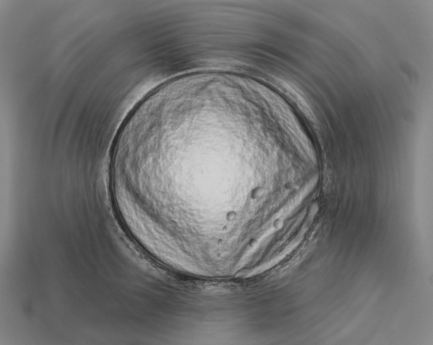X0000115230899200911131641