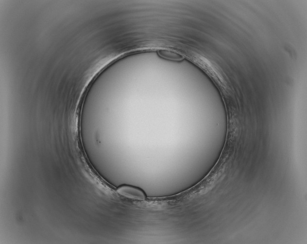 X0000115230900200911131641