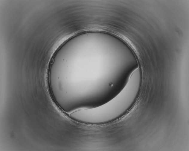 X0000115230901200911131641