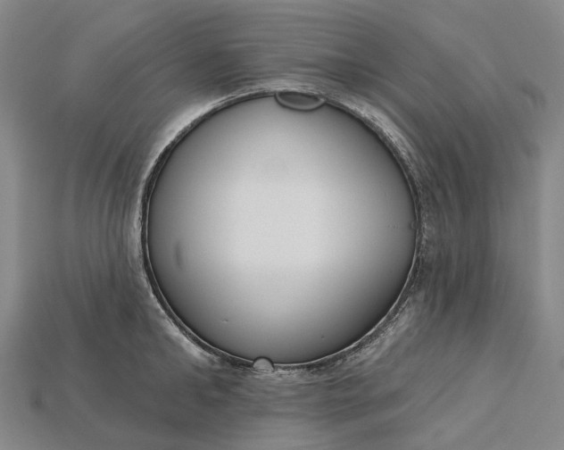 X0000115230902200911131641