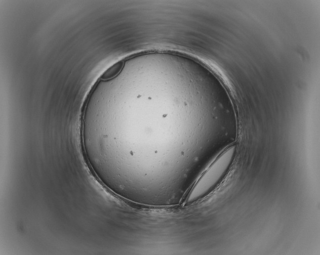 X0000115230903200911131641