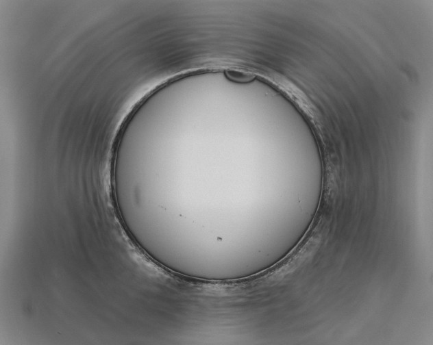 X0000115230904200911131641