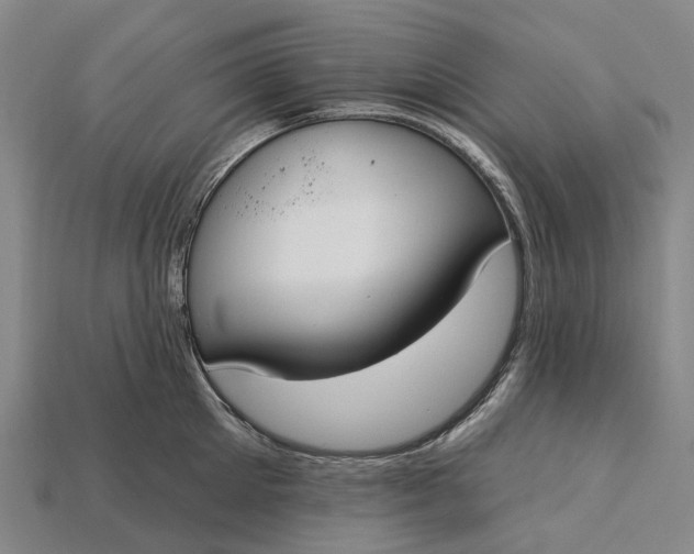 X0000115230905200911131641