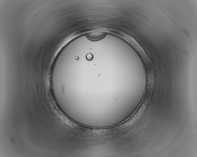 X0000115230908200911131641