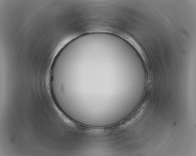 X0000115230909200911131641