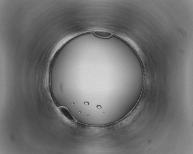 X0000115230910200911131641
