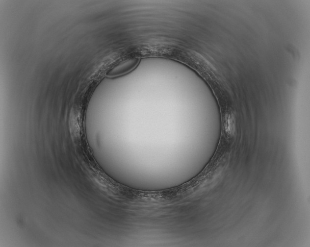 X0000115230915200911131640