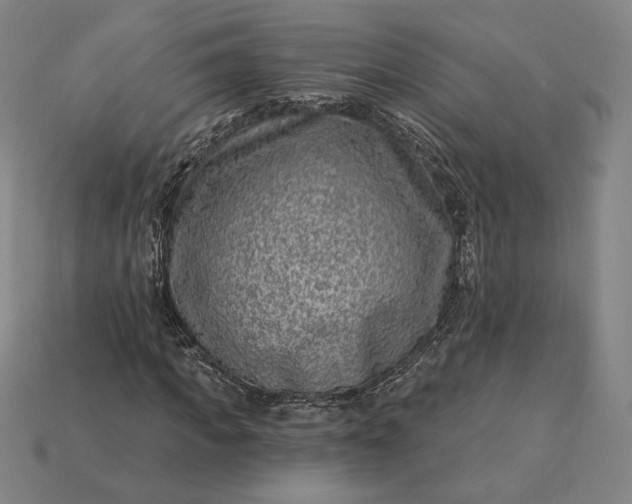 X0000115230917200911131640