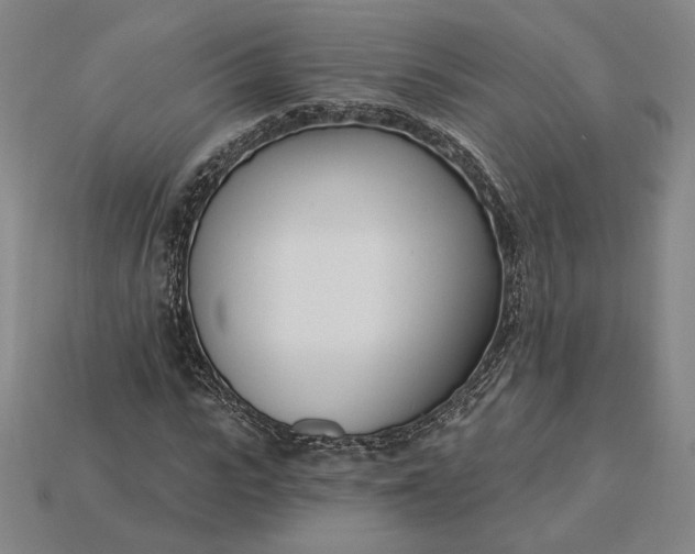 X0000115230919200911131640