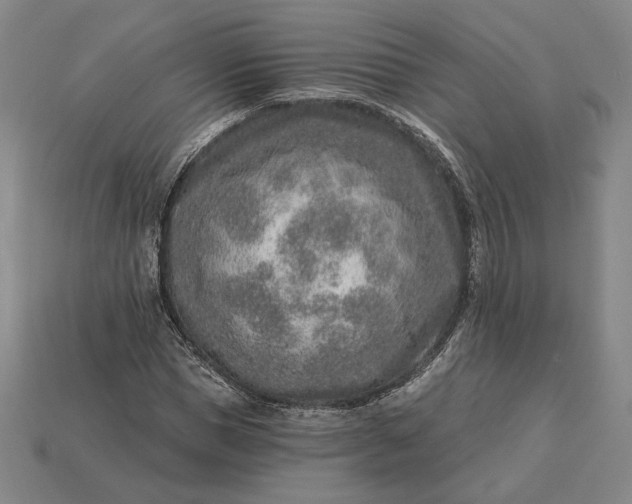 X0000115230921200911131640