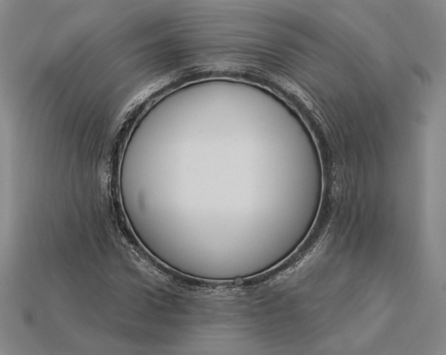 X0000115230922200911131640