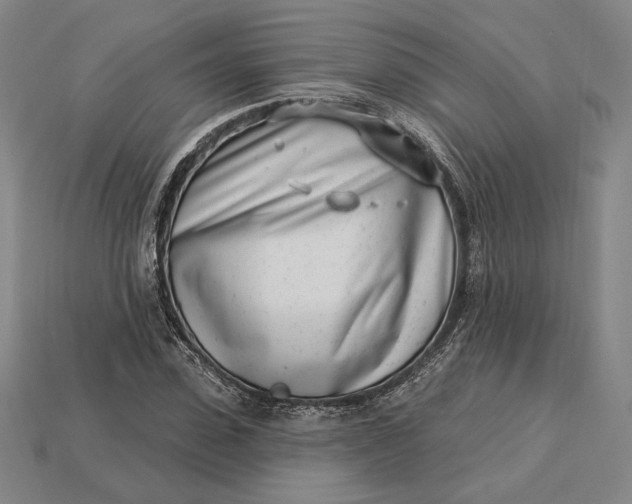 X0000115230923200911131640