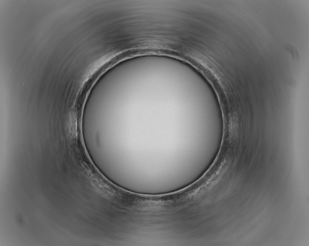 X0000115230925200911131640