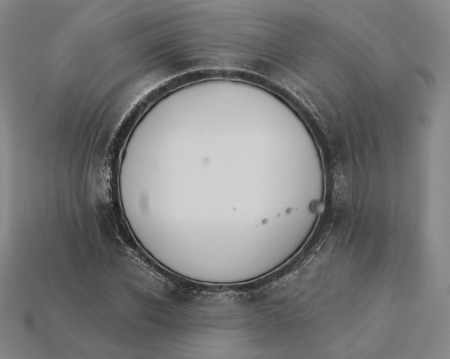 X0000115230926200911131640