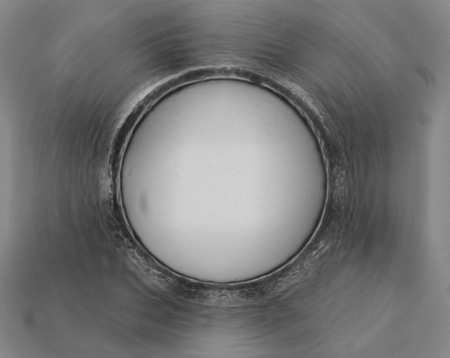 X0000115230927200911131640