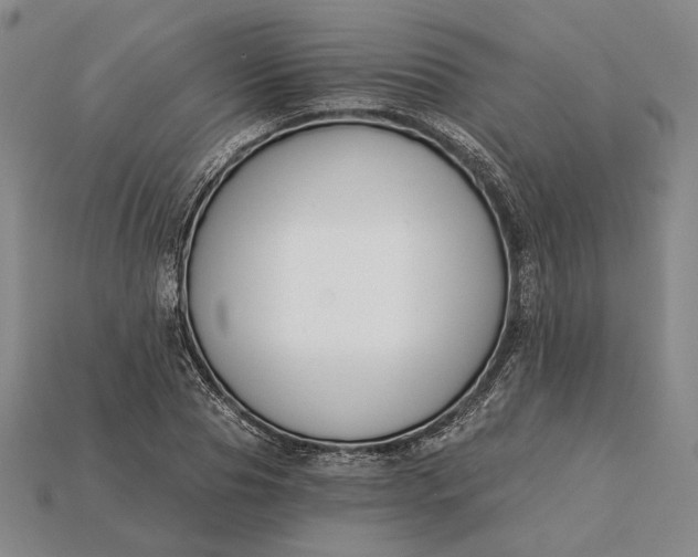 X0000115230929200911131640