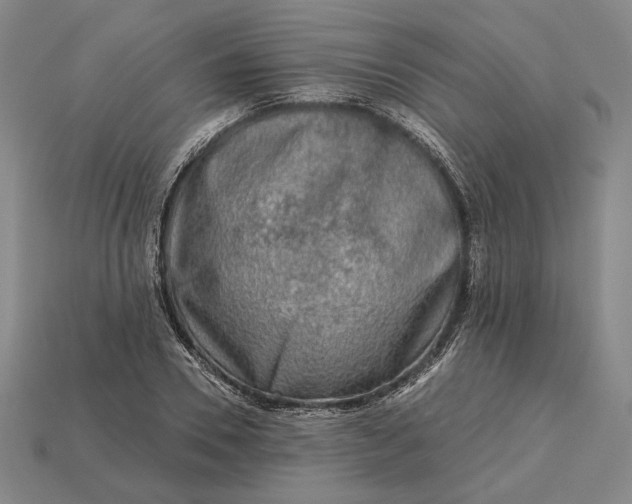 X0000115230930200911131640