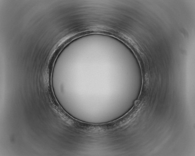 X0000115230931200911131640