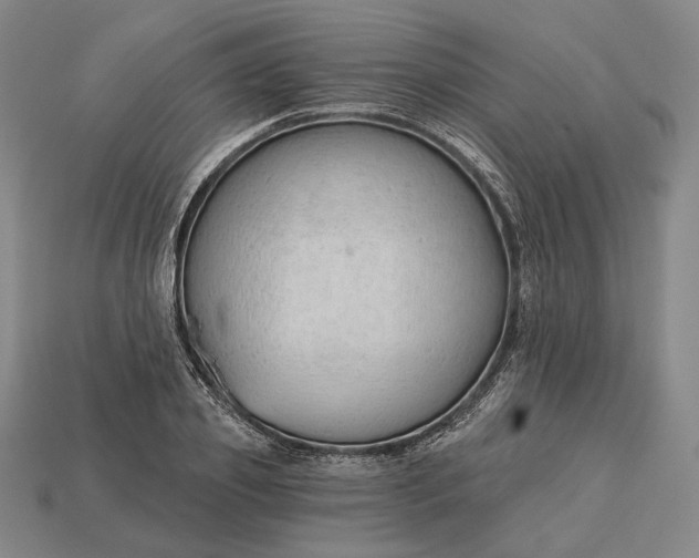 X0000115230933200911131640