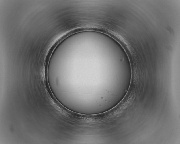 X0000115230935200911131640