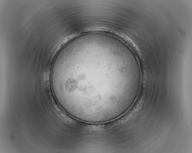 X0000115230937200911131640