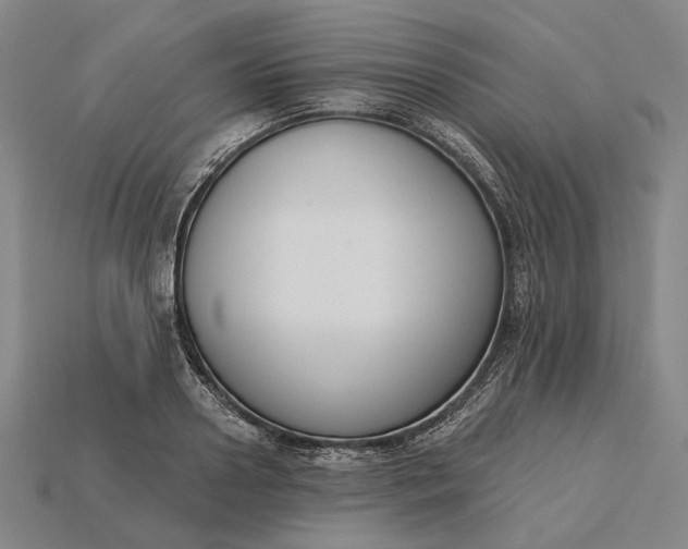 X0000115230938200911131640