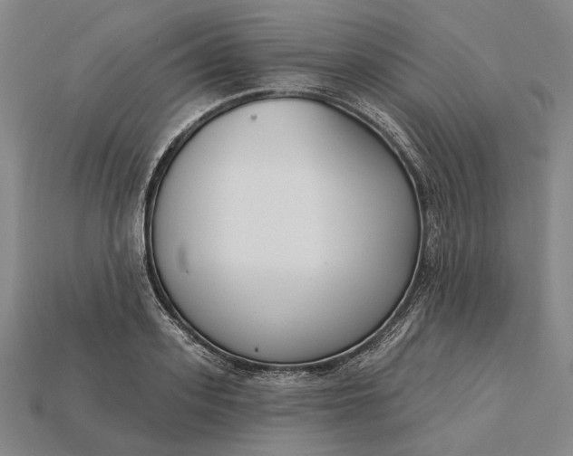 X0000115230939200911131640